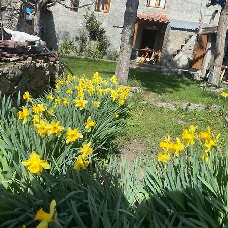 Apartman Casa Sarrano Viu de Llevata