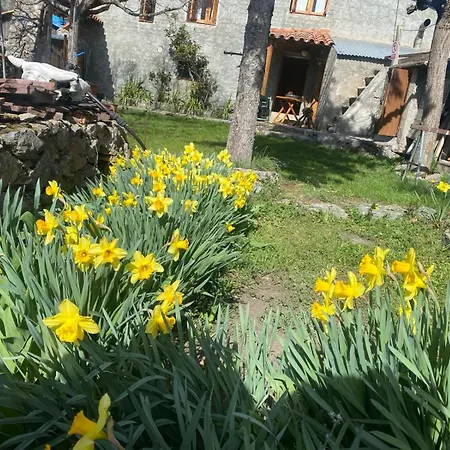 Apartment Casa Sarrano Viu de Llevata