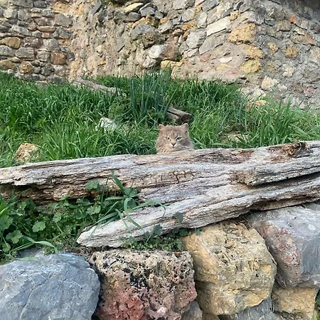 Casa Sarrano * Viu de Llevata