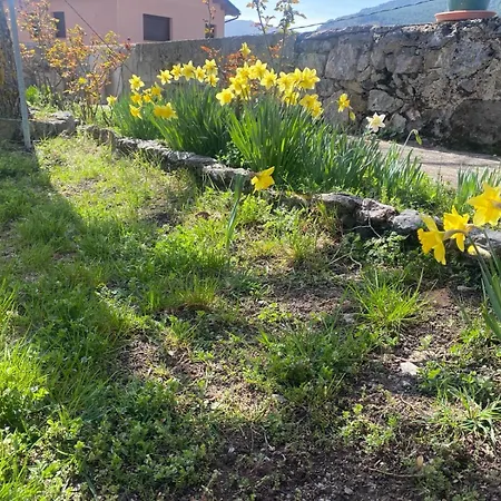 Casa Sarrano Apartment Viu de Llevata